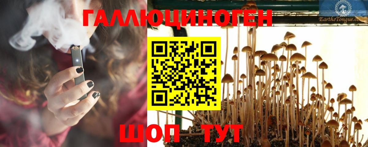 Галлюциногенные грибы Psilocybine cubensis Камышлов